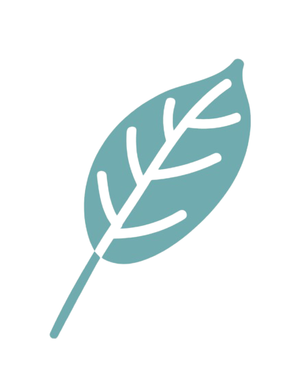 Deine Zeitfee Logo Blatt
