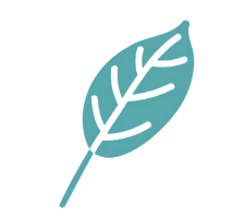 Virtuelle Assistenz werden